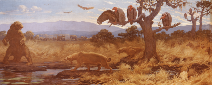 Portion of a 1921 Charles Knight mural depicting a probable fight to the death between two prehistoric animals in an asphalt pit, with the three teratorn watching. 