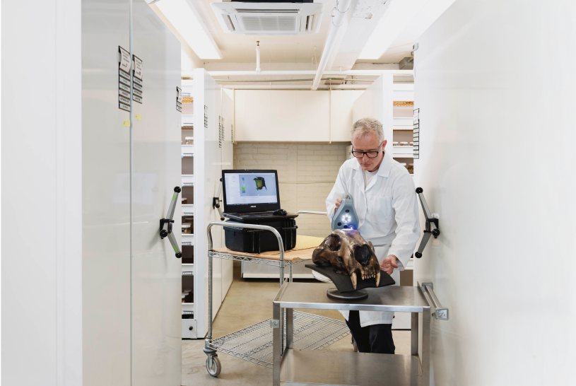 A scientist scanning a skull using advanced looking equipment Samuel Oschin Global Center for Ice Age Research