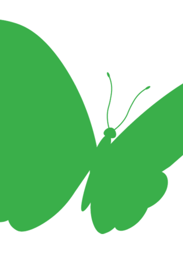 Green butterfly icon 