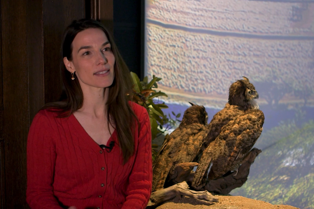 Head and shoulders portrait of Lauren Schoth with a diorama in the background