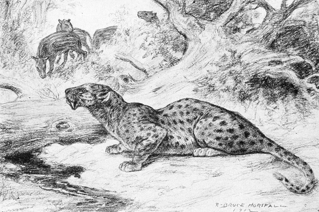 Restoration of H. primaevus by Robert Bruce Horsfall, 1913