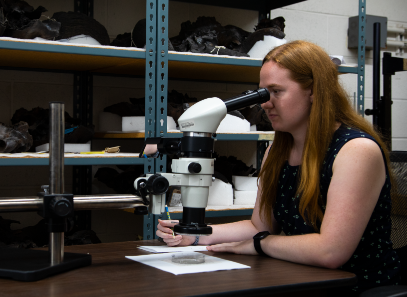 Lisa Martinez examining charcoal dust at La Brea Tar Pits