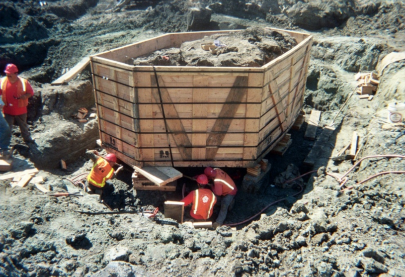 project 23 box with deposit